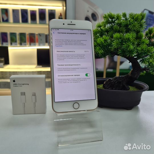 iPhone 8 Plus, 256 ГБ