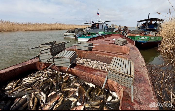 База отдыха с рыбалкой