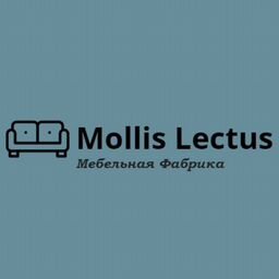 Mollis Lectus - интернет магазин