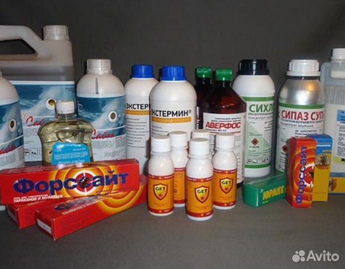 Уничтожение тараканов, клопов, плесени дезинсекция