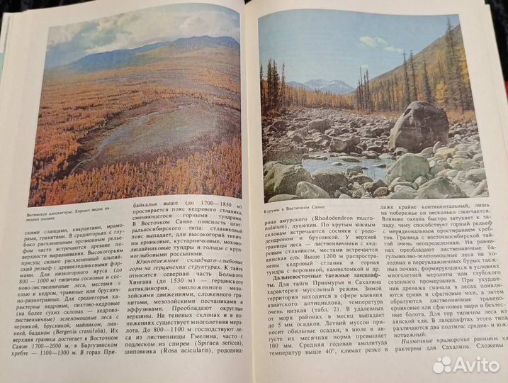 А.Г.Исаченко 