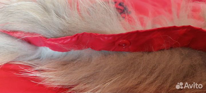 Комбинезон детский новый Roberto Cavalli, р.68