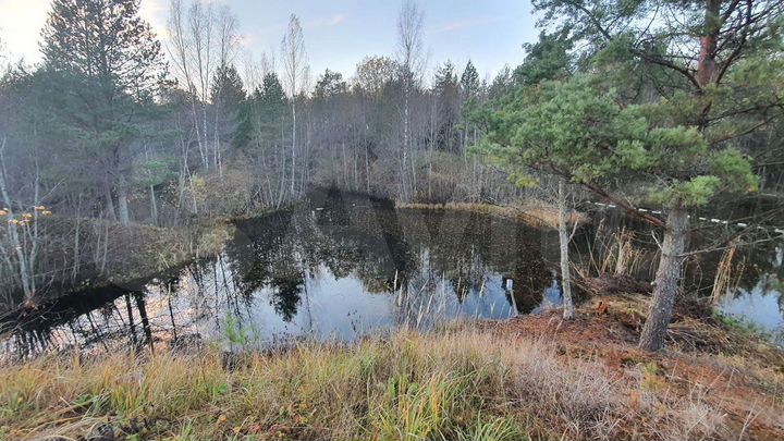 Участок 40 сот. (СНТ, ДНП)