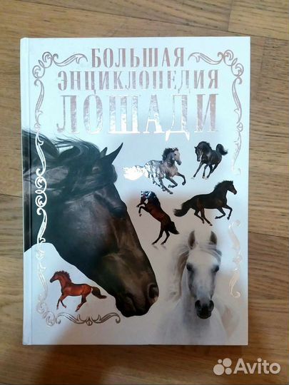 Книги о лошадях
