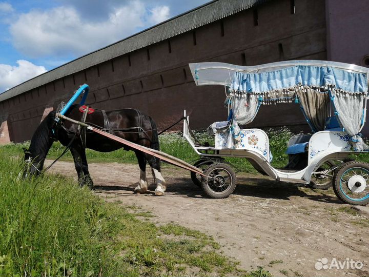 Катание на лошадях