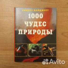 Аппараты по очистке и продаже питьевой воды для розлива в тару — Живая вода