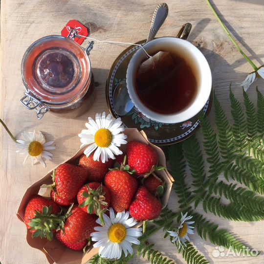 Ромашки цветы