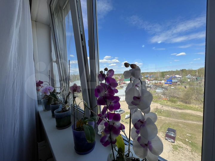 2-к. квартира, 52,6 м², 5/5 эт.