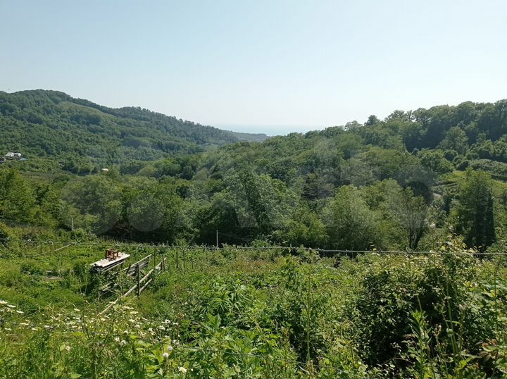 Участок 6 сот. (СНТ, ДНП)