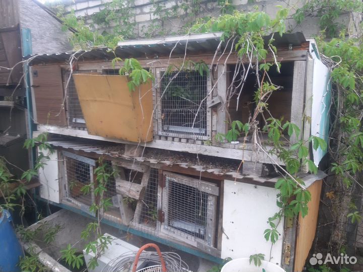 Клетки для кролика