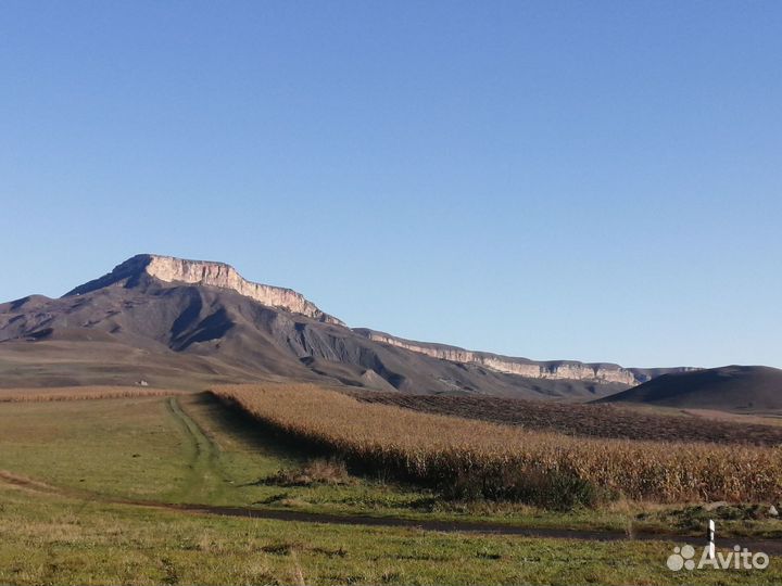 Трансфер, межгород, экскурсии
