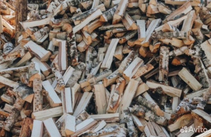Дрова березовые