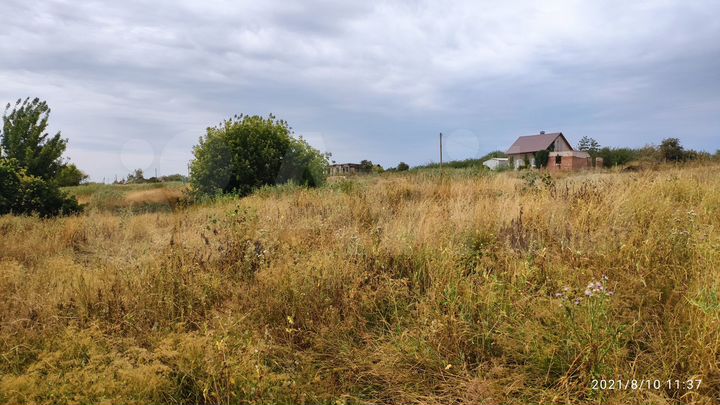 Участок 81 га (промназначения)