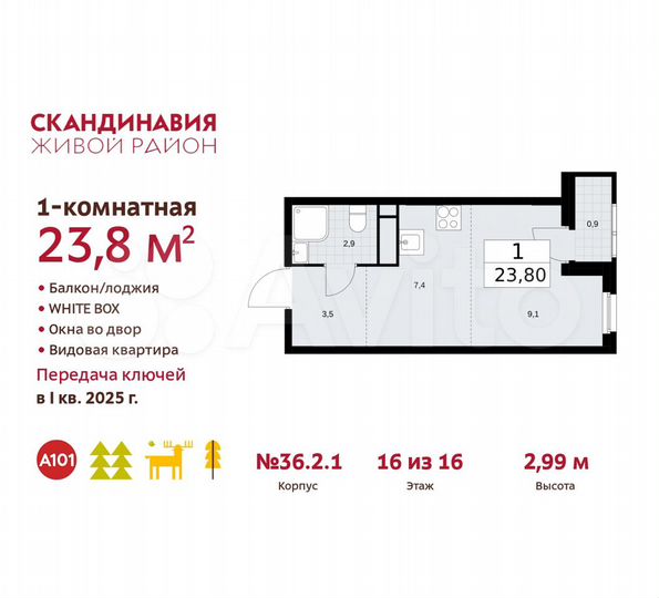 Квартира-студия, 23,8 м², 16/16 эт.