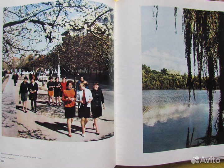 Лоллий Замойский 