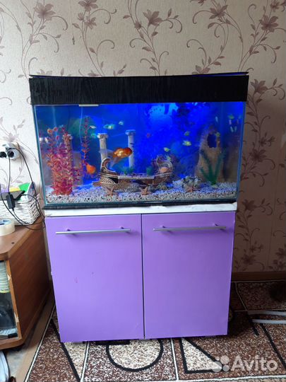 Аквариум с тумбой 150л