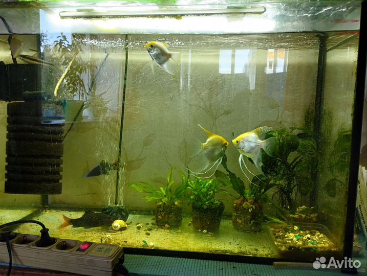 Аквариум