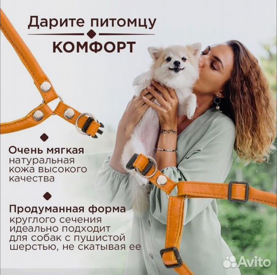 Шлейка для собаки