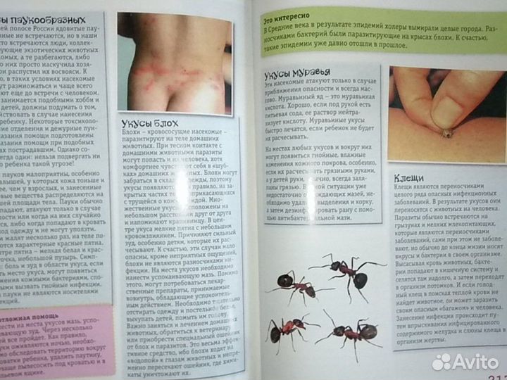 Энциклопедия детского здоровья