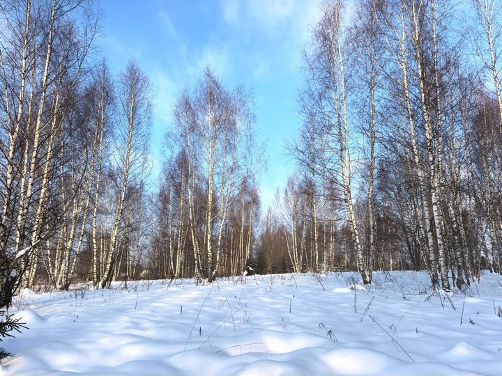 Участок 6 сот. (ИЖС)