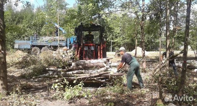 Демонтаж построек.подготовка участка.арборист