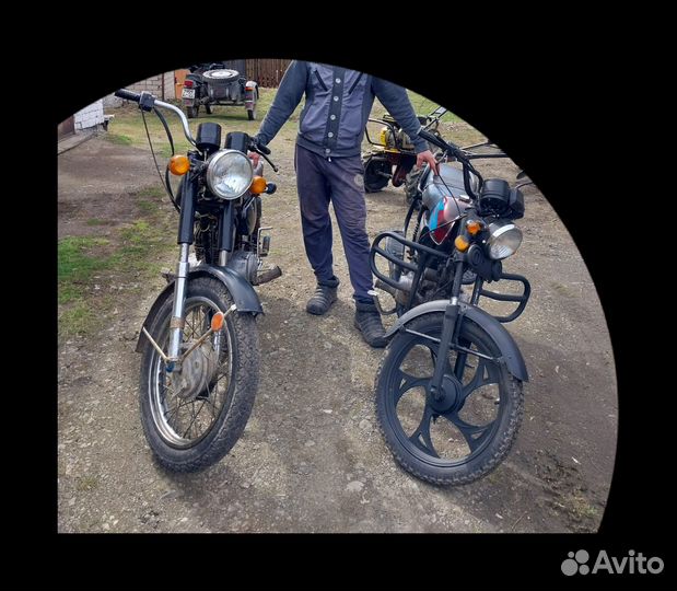 Продам минск и Альфу