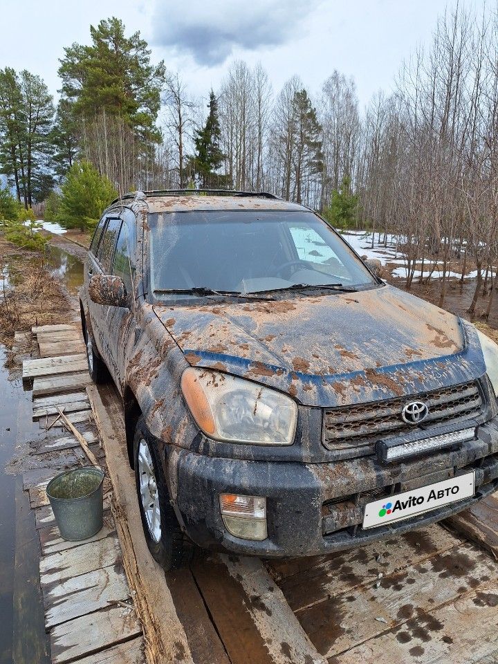 Toyota RAV4: фото владельца