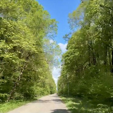 Участок 10 сот. (СНТ, ДНП)