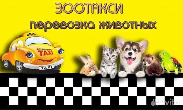 Зоотакси,перевозка животных,доставка корма