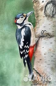 Срез, слэб вяз