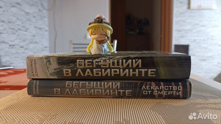 Книги Бегущий в лабиринте