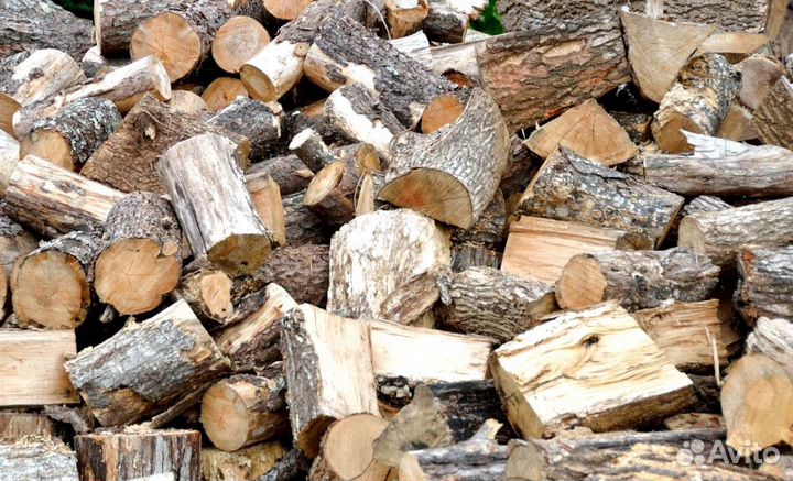 Дрова Береза