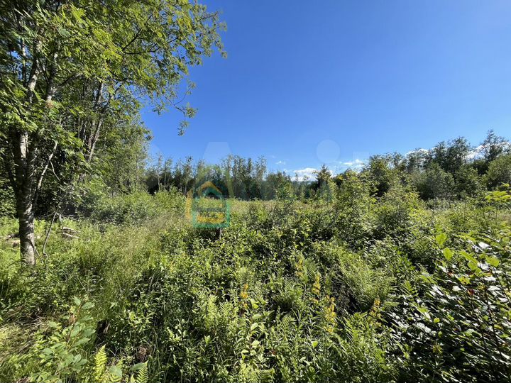 Участок 26 сот. (ИЖС)