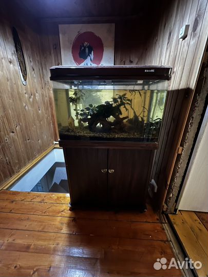 Аквариум с тумбой 180 литров