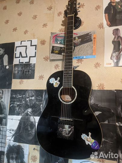 Акустическая гитара flight