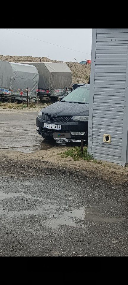 Skoda Rapid: фото владельца