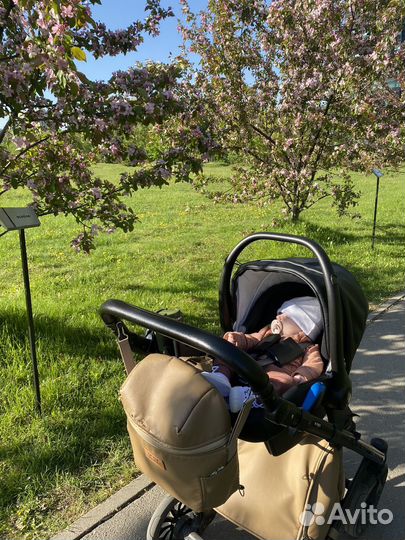 Коляска 3 в 1 anex