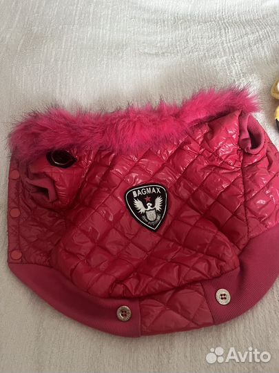 Одежда для собак