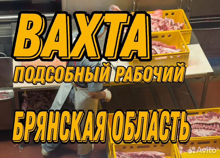 Вахта Подсобный рабочий Брянская область