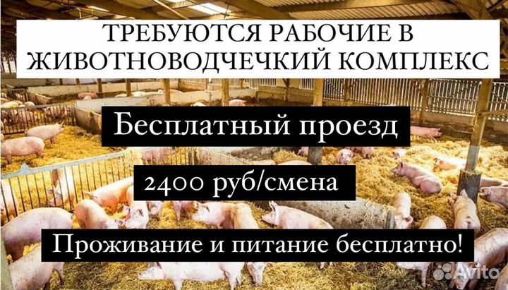 Вахта разнорабочий на ферме в Тверской области