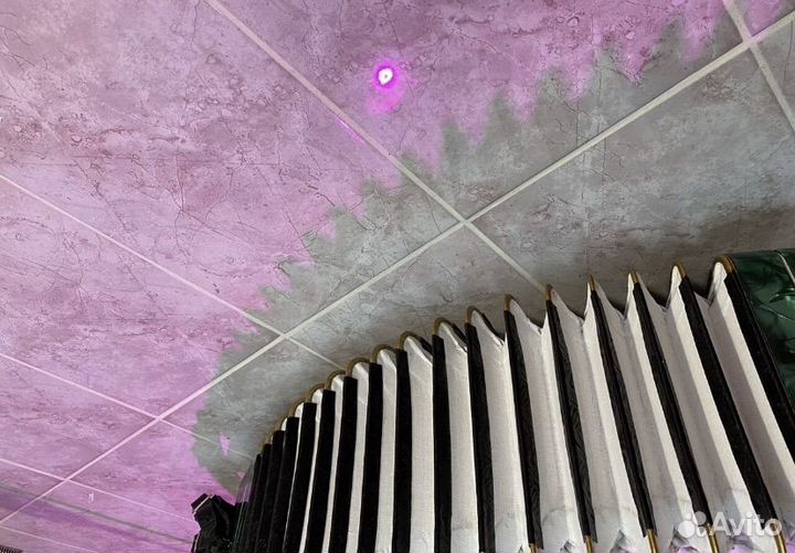 Этюд 205 м Современный Красавчик бн 40