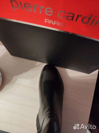 Сапоги осень весна женские