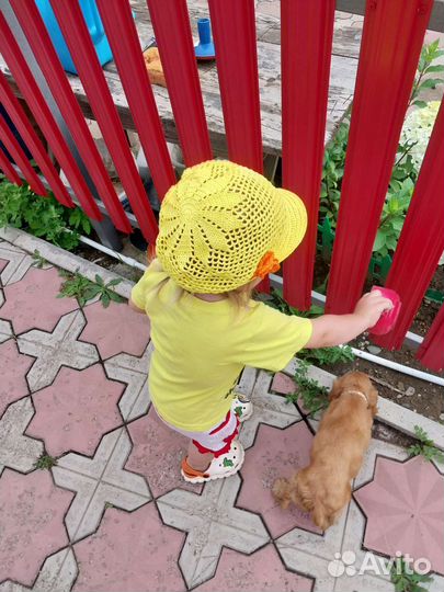 Вяжу зверошапки