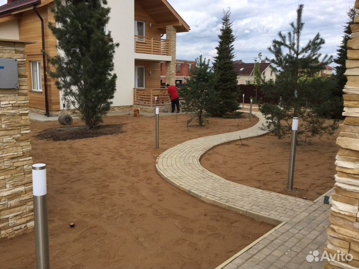 Готовый газон в рулонах. Благоустройство