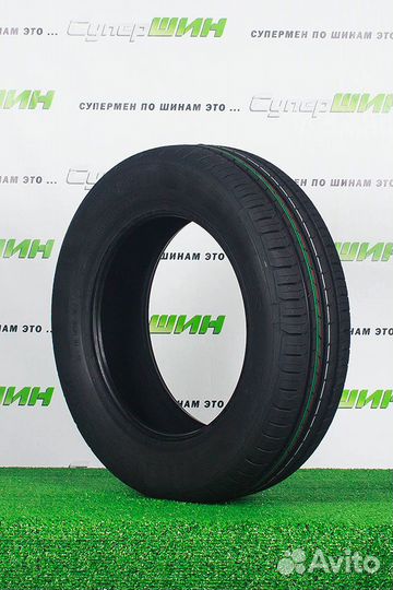 Gislaved PremiumControl 195/55 R15