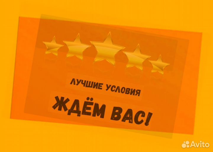 Комплектовщик Спецодежда Еженедельный аванс М/Ж