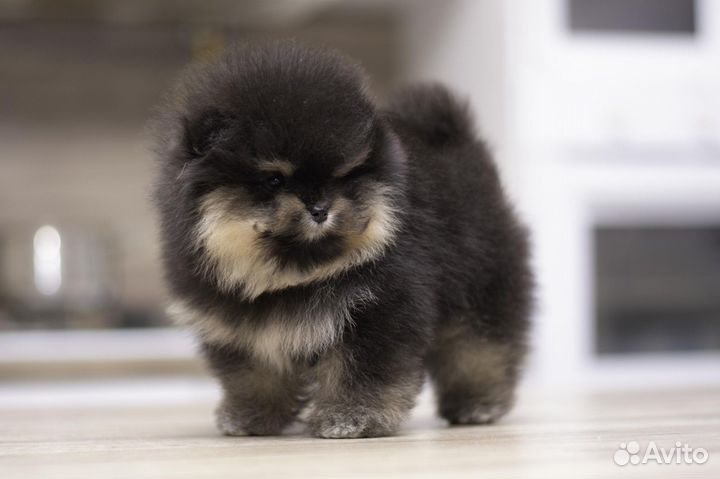 Милашка