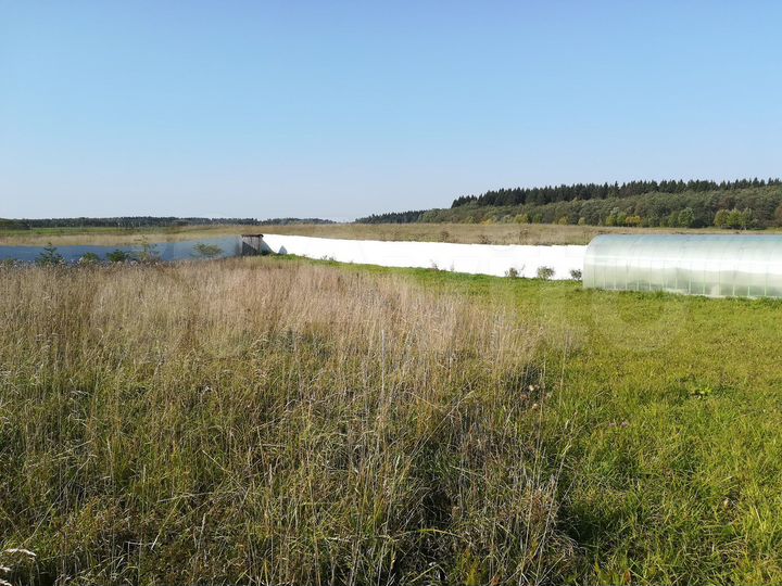 Участок 40 сот. (СНТ, ДНП)