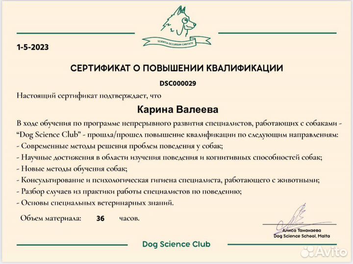 Гуманный Кинолог Зоопсихолог, Поведение собак