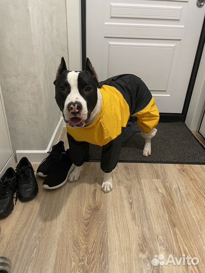 Фотосессия